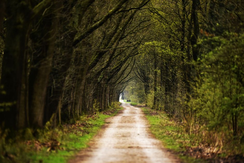 Small Wins With A Balanced Approach To Wellness, Starting Today