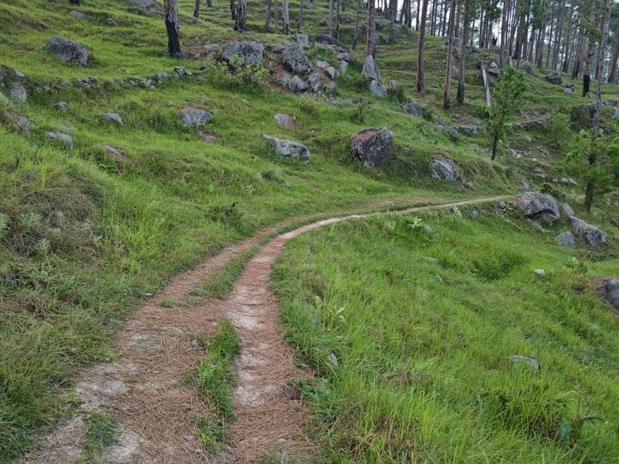 A Balanced Approach To Wellness: Where to Start