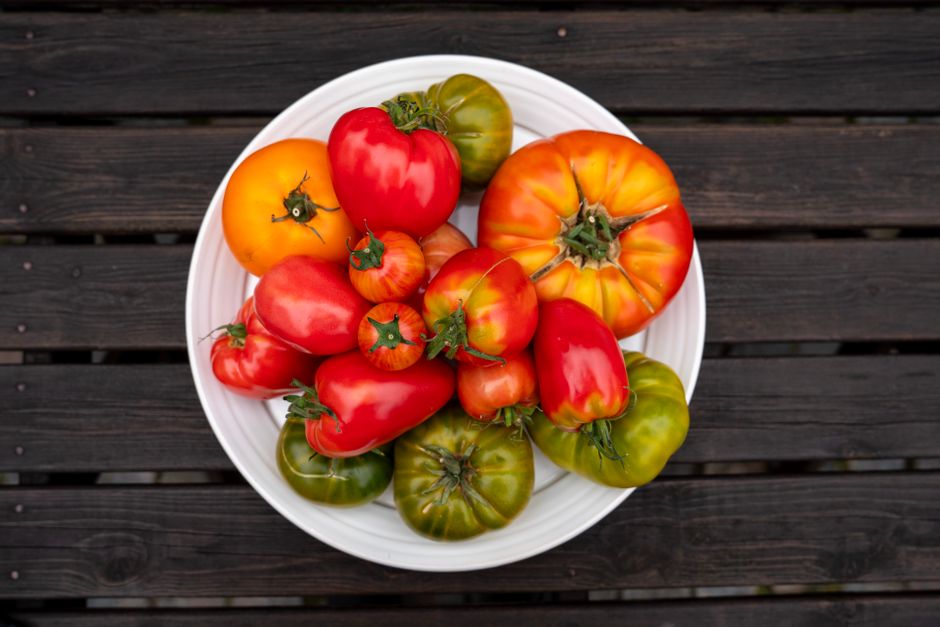 A Practical Take on Portions Without Counting Calories