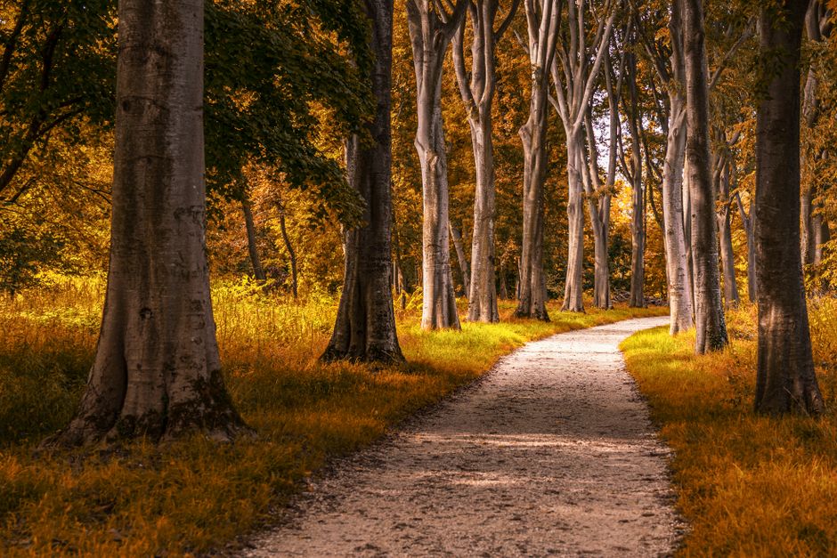 A Step-by-Step Look at Wellness At Different Life Stages