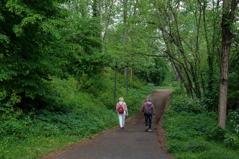 Caring For Your Overall Health When You're Short on Time