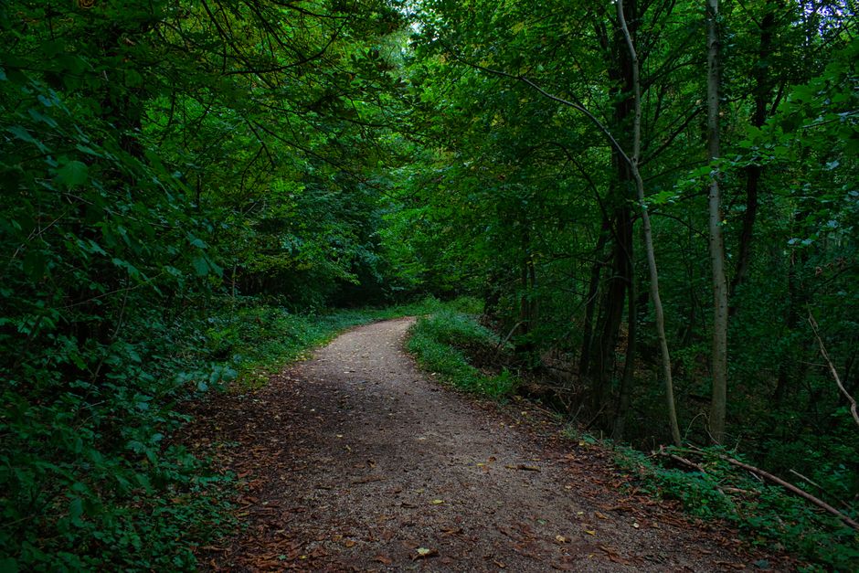 Getting Started With Simplicity As A Health Strategy