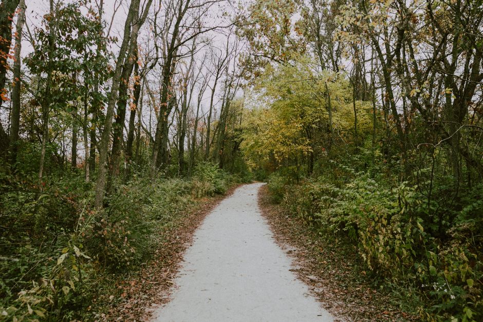 Getting Started With The Habit Of Moving Through The Day