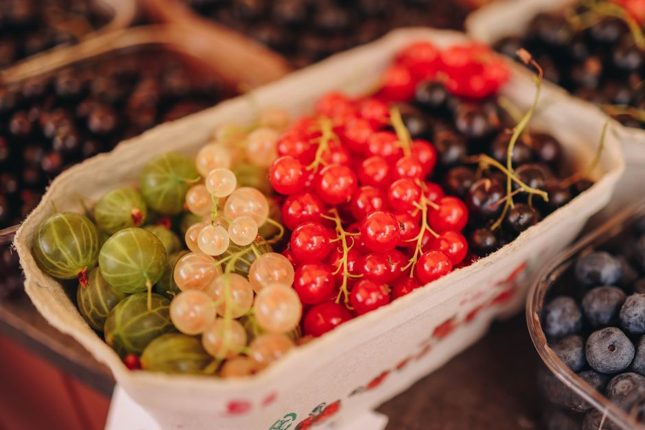 Getting Started With Wellness Beyond The Individual