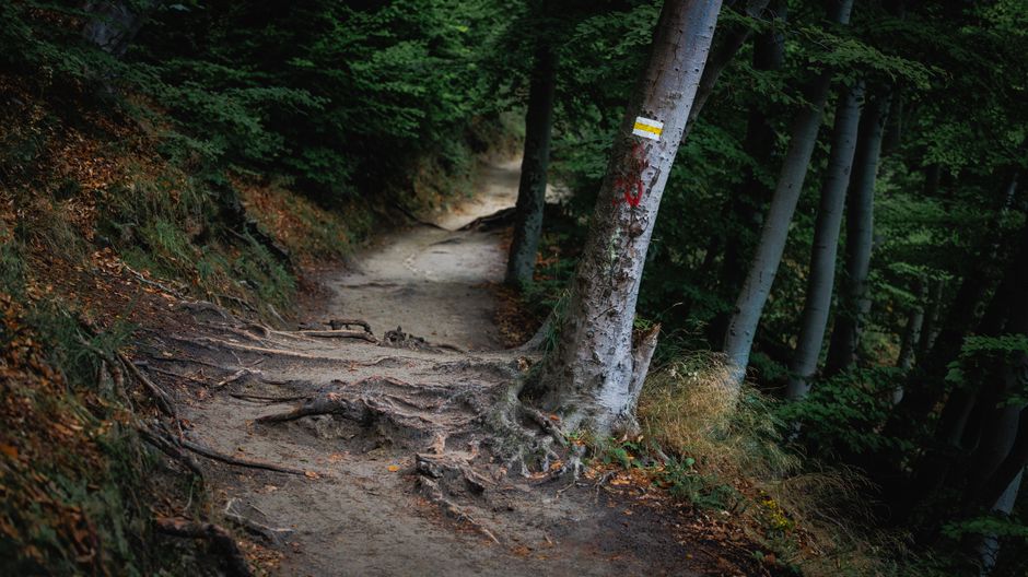 Rethinking Moving More Without Going To A Gym, Starting Today