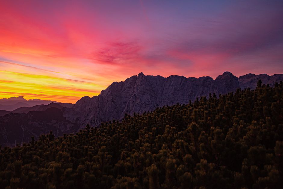 The Connection Between Body And Mind: Practical Steps You Can Use — Part 2