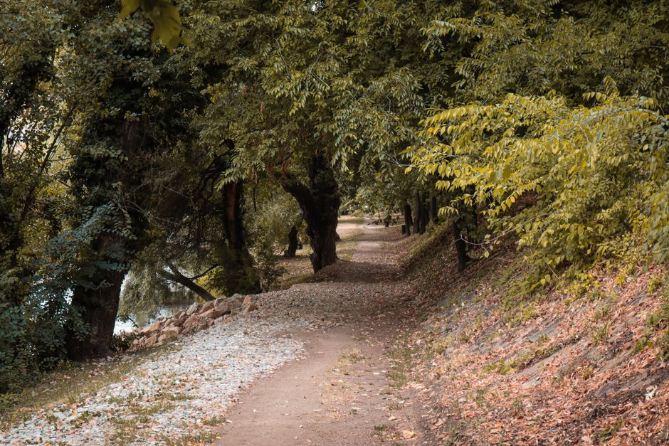 The Ordinary Virtues Of Walking in Your 40s, 50s and Beyond