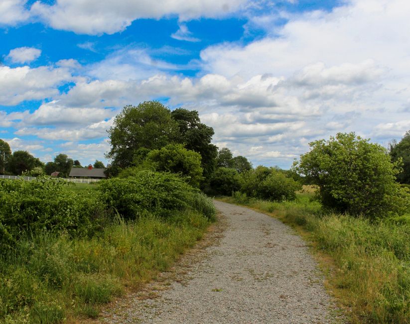 The Ordinary Virtues Of Walking: What Actually Works