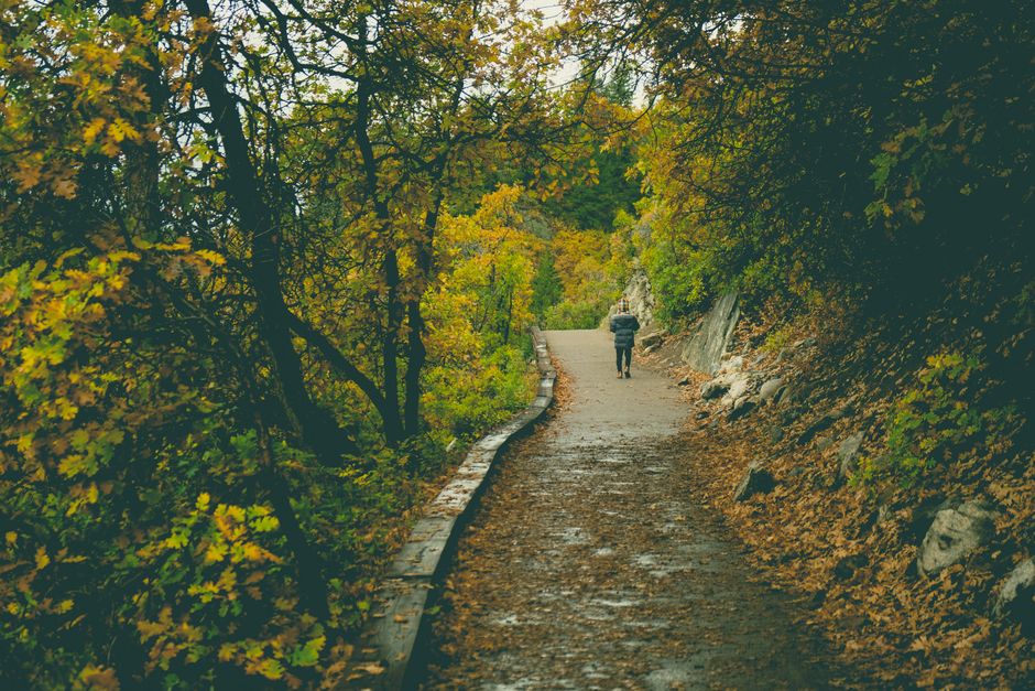 The Pleasure Principle In Healthy Living for Busy People