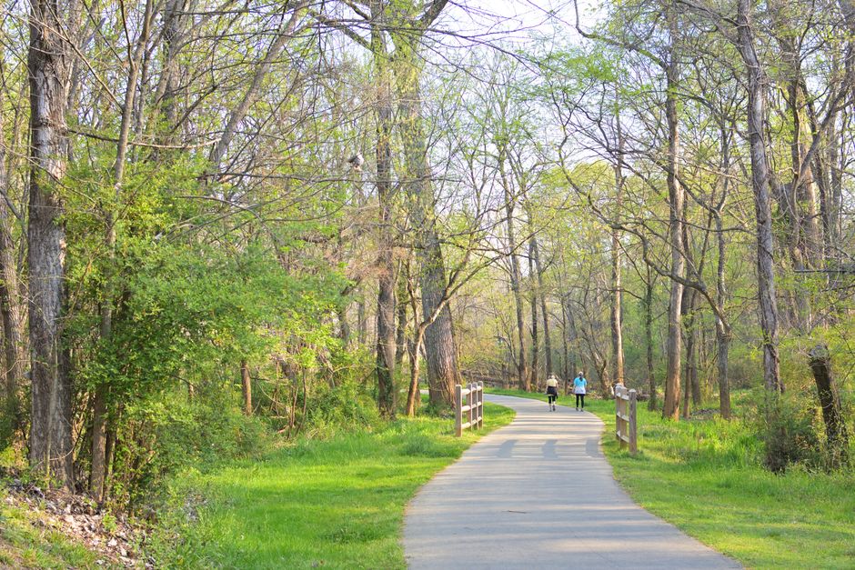 The Pleasure Principle In Healthy Living: Practical Steps You Can Use