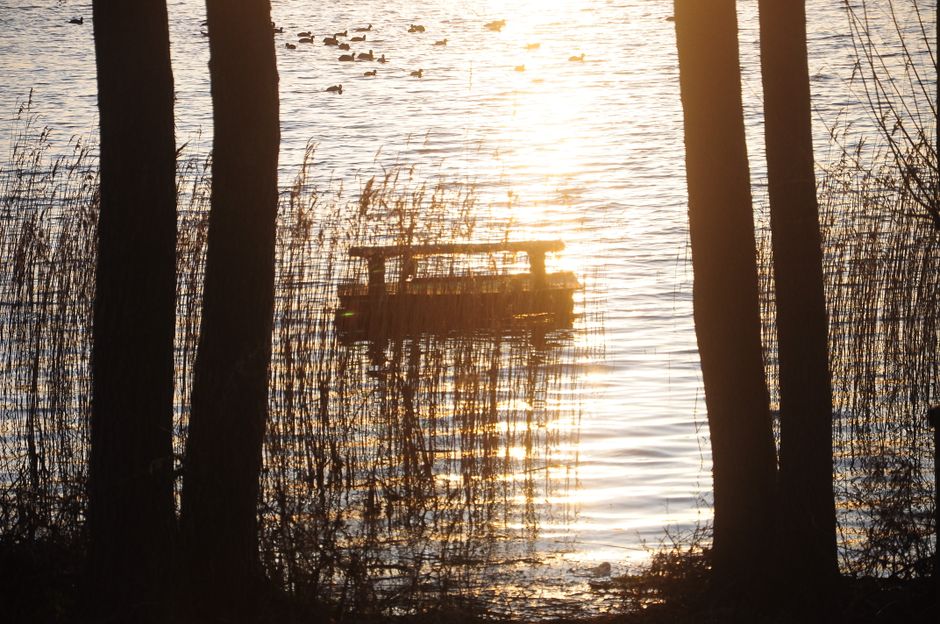 The Quiet Importance Of Rest: Making It Part of Your Day