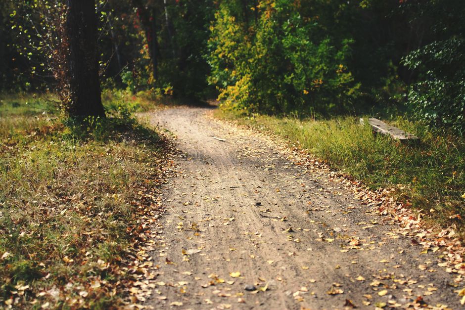 The Truth About Simplicity As A Health Strategy