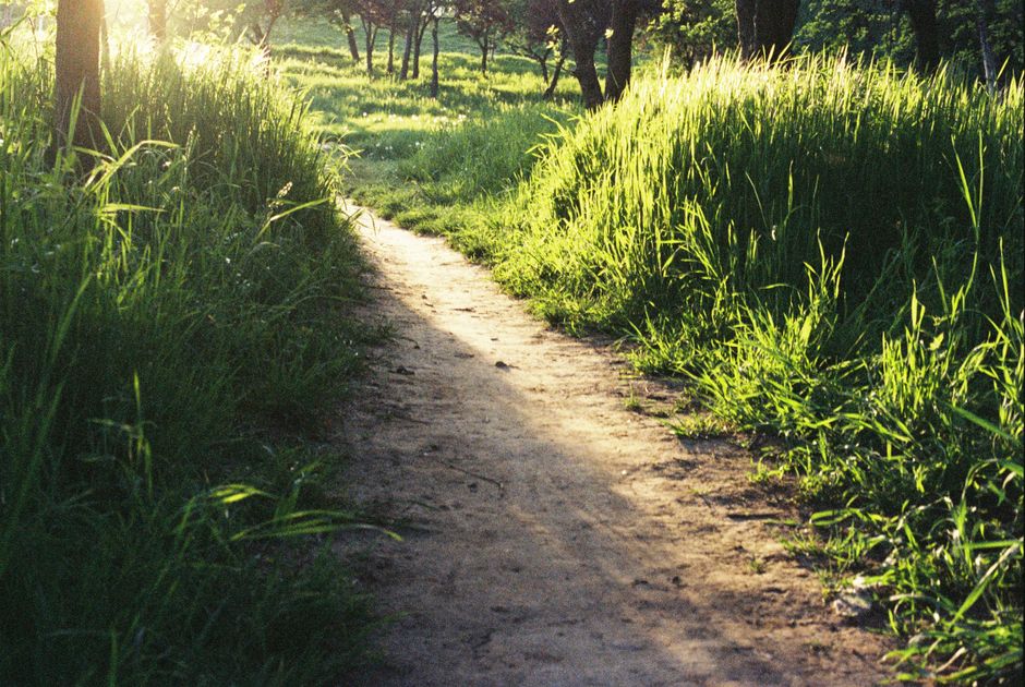 Understanding The Habit Of Moving Through The Day in Plain Terms