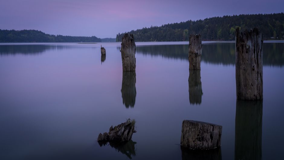 When Health Is Not A Choice: Sorting Fact From Fiction