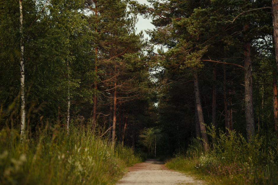 Where People Go Wrong With Simplicity As A Health Strategy